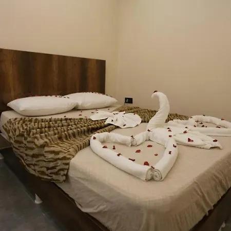 Viyana Hotel 2*